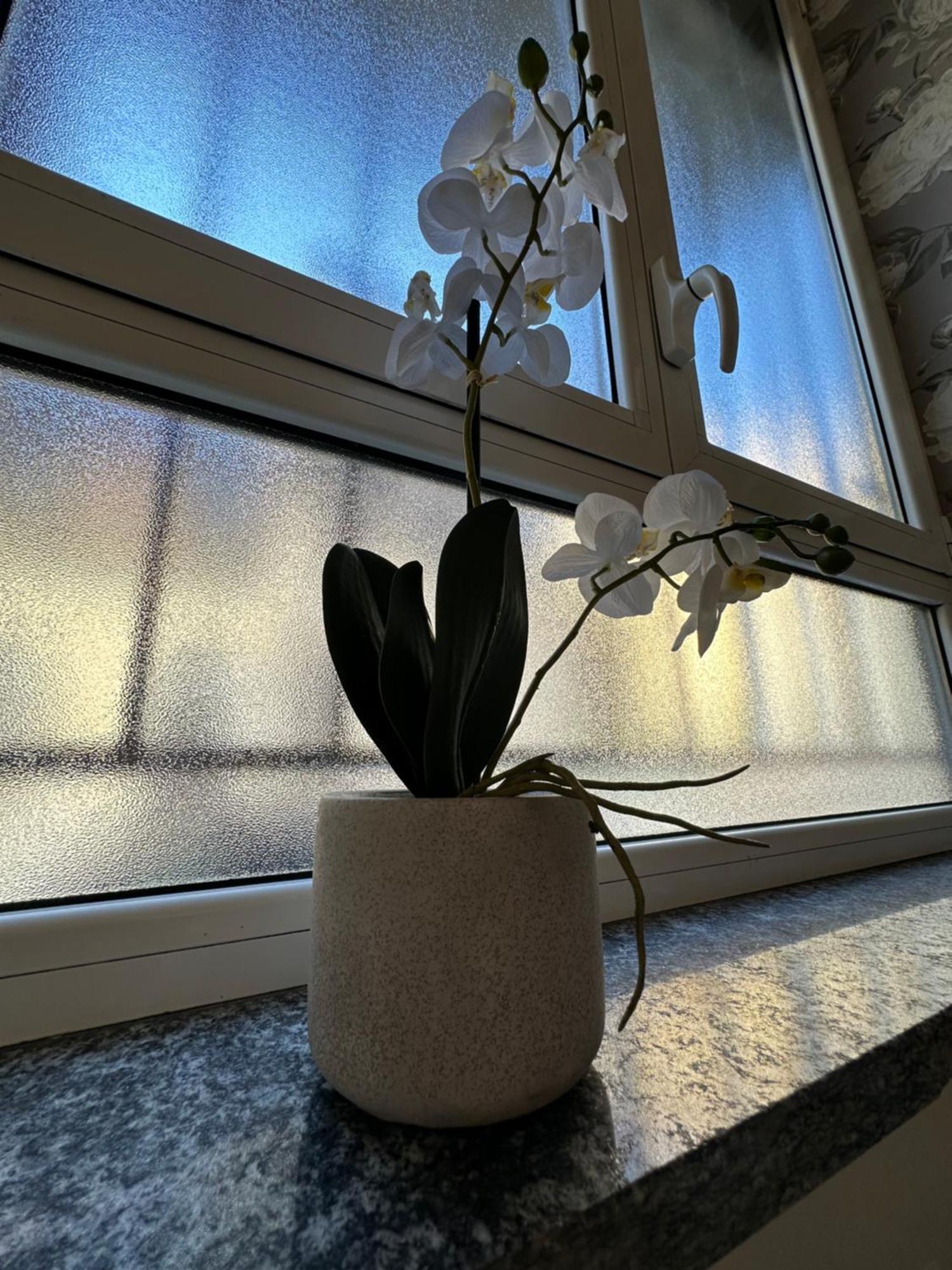 Flowers, A Cozy Suite In Milano Ngoại thất bức ảnh